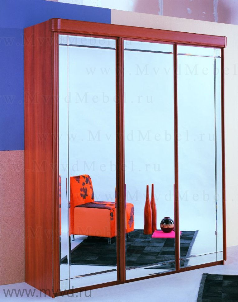 Шкаф-купе трехдверный с зеркалом (ширина 172, 205 или 229 см) с фасадом №13