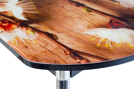 Стол раздвижной SIENALE-Абрикос стеклянный с фотопечатью