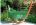 Гамак двухместный с каркасом (KOLOMBUS + RIO GRAND) зелёный (BF)