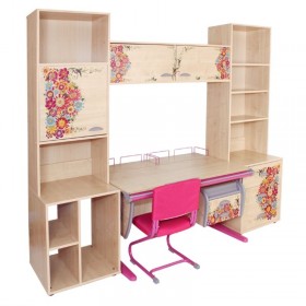 Набор мебели для школьника - стенка Дэми на базе парты СУТ-15Р с рисунком цветы