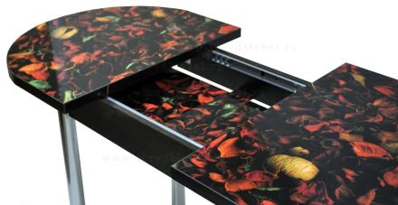 Кухонный стол с фотопечатью Трофи-Универсальный-32 мм рисунок лепестки - раздвижной, столешница пластиковая